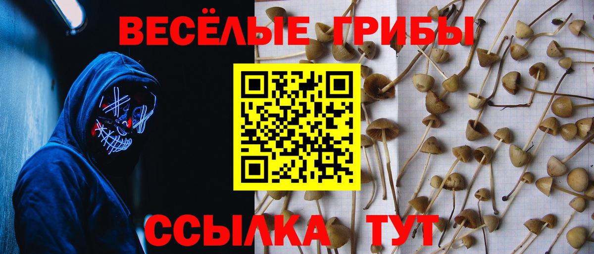 Псилоцибиновые грибы прущие грибы Старая Купавна