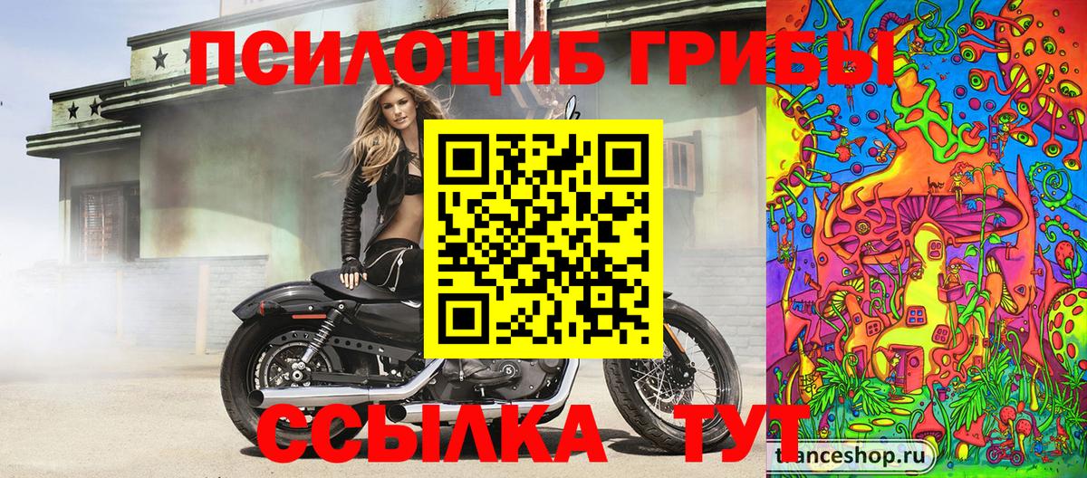 наркотики  Вход с VPN  Старая Купавна  Псилоцибиновые грибы прущие грибы 